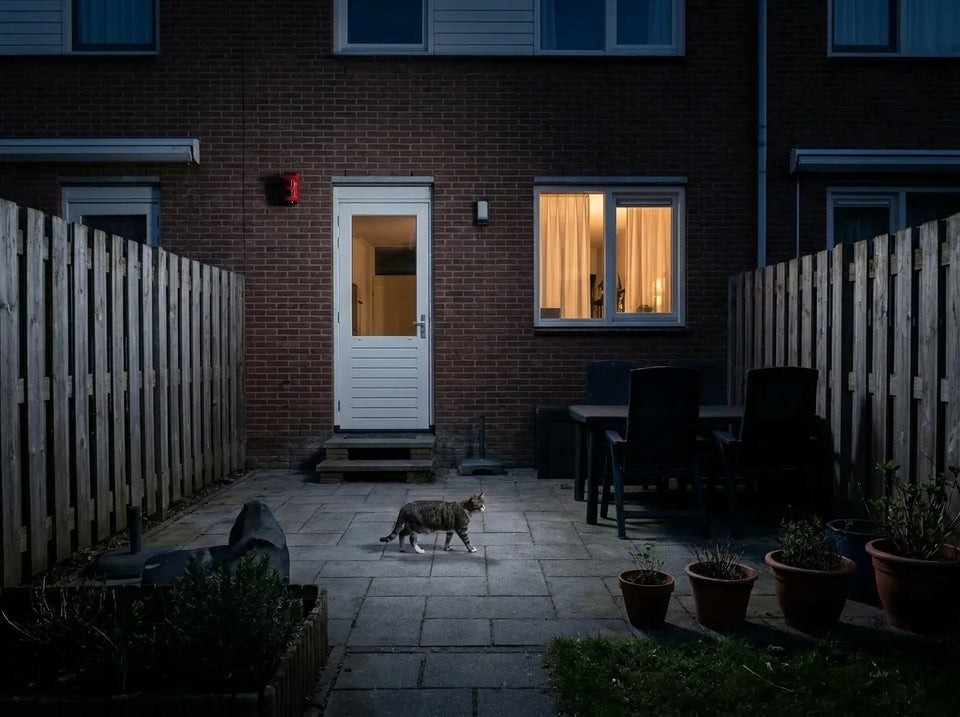 Un chat ou un hérisson dans le jardin ?
